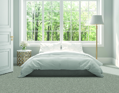 Stock Carpet_Confidence